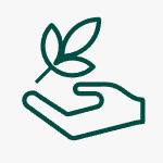 Employment Advisory & Payroll Services