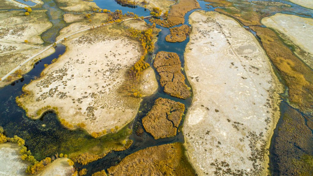 Reshaping the VAT Treatment of Gambling in Malta